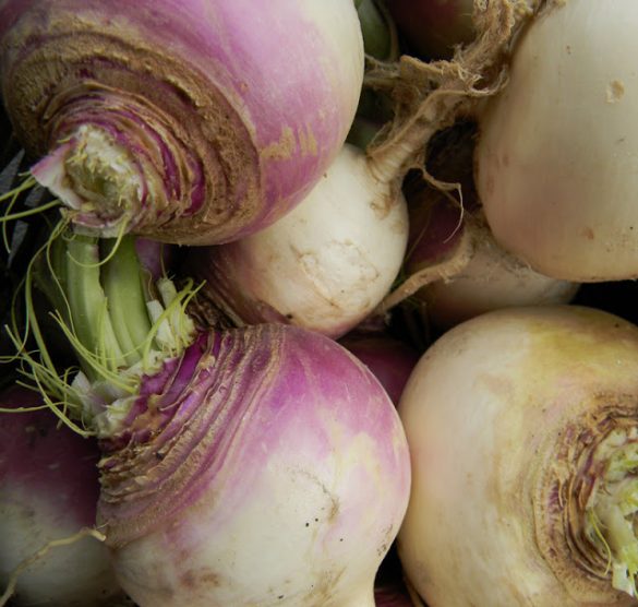 Fall Gardening Guide My Top 3 High Calorie Survival Crops The