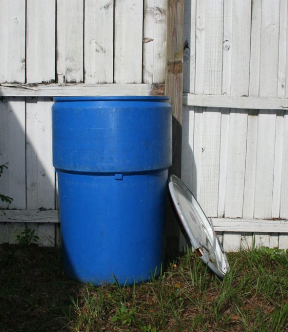 How To Make Fish Fertilizer The Survival Gardener