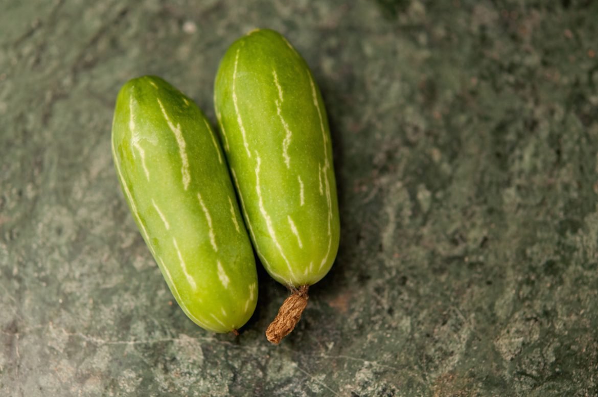 coccinea grandis the ivy gourd perennial cucumber