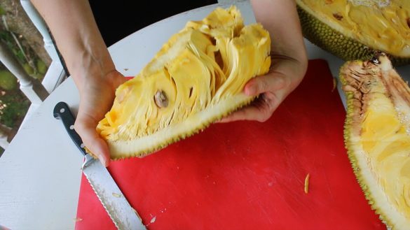Open a Jackfruit the Easy Way: an Illustrated How-to Guide to Opening a ...