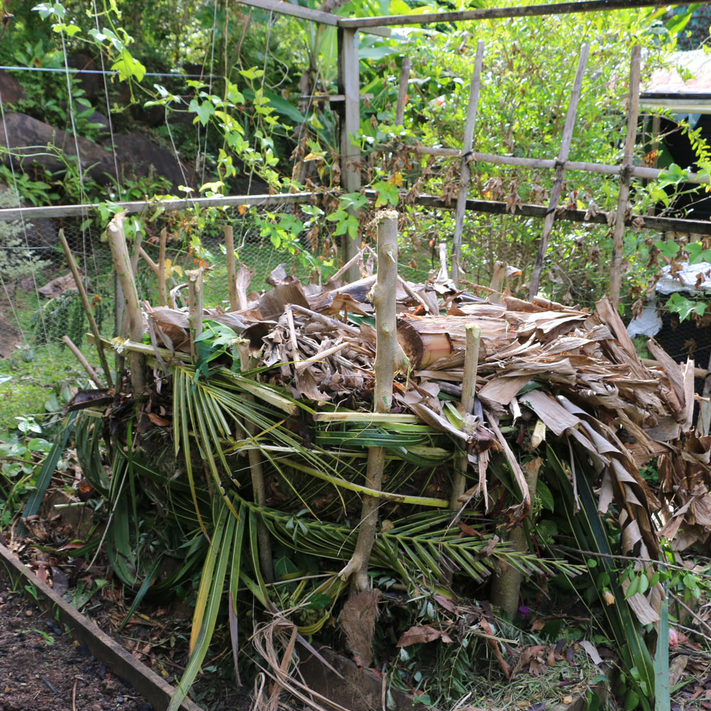 simple compost pile with no infrastructure