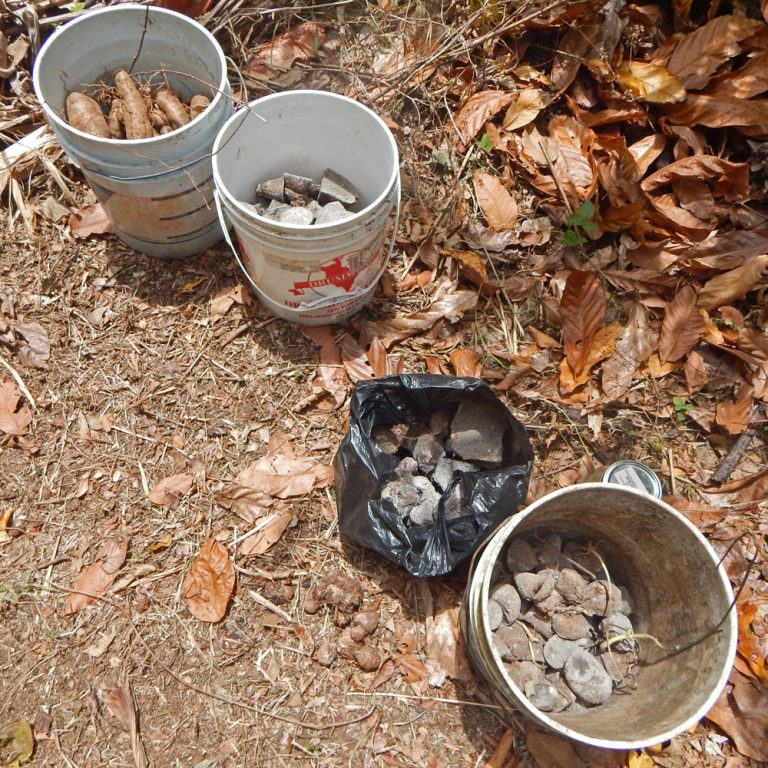 Propagate Yams the Easy Way with Yam Minisetts The Survival Gardener