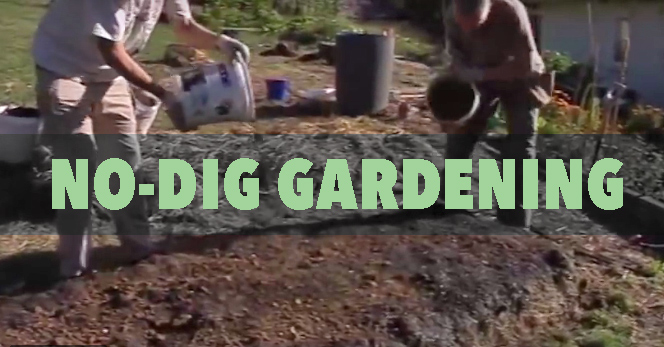 no dig gardening demonstration