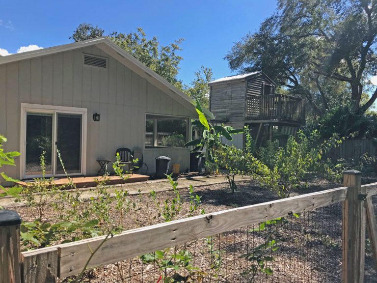 For Sale A Beautiful Gainesville Home with Gardens and Fruit Trees
