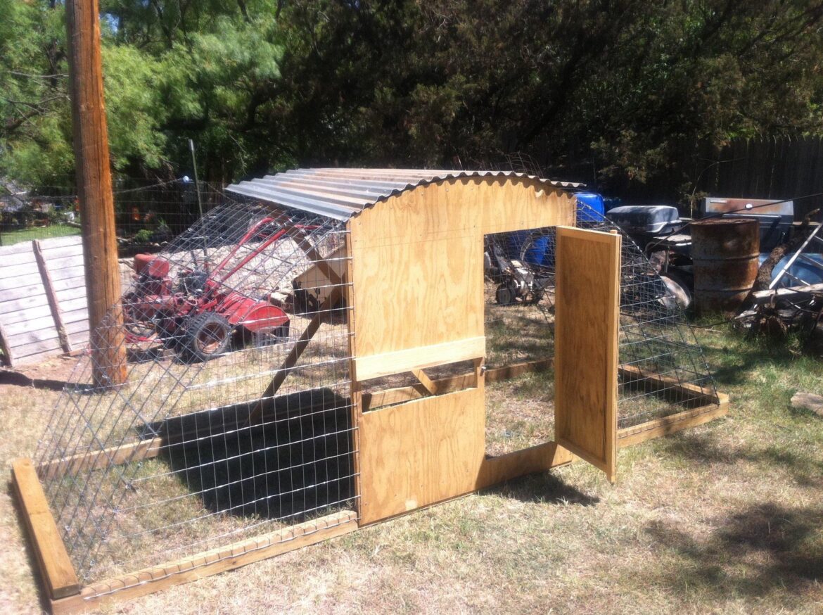 Cattle Panel Chicken Tractors The Survival Gardener