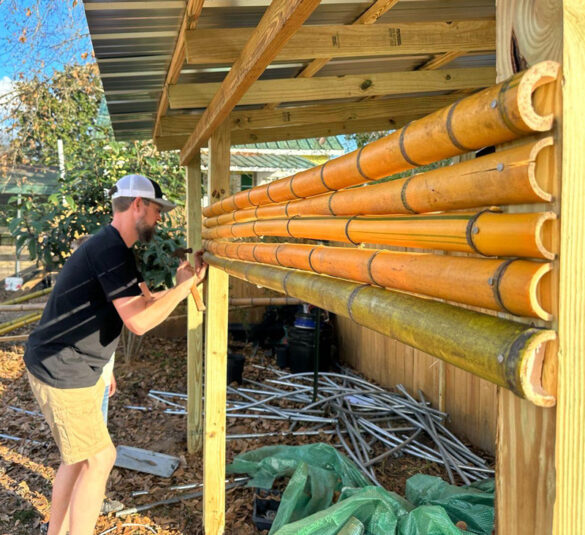 Building a Chicken Coop (Developing Nation Style) The Survival Gardener