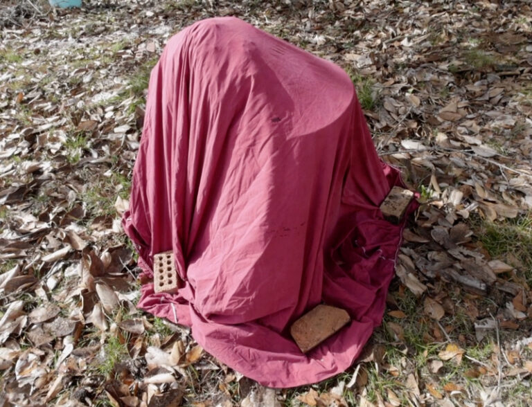 A Very Useful Method for Protecting Tender Trees from Frost The