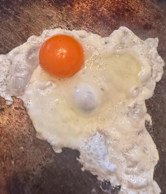 Why Are We Getting Deep Orange Egg Yolks?