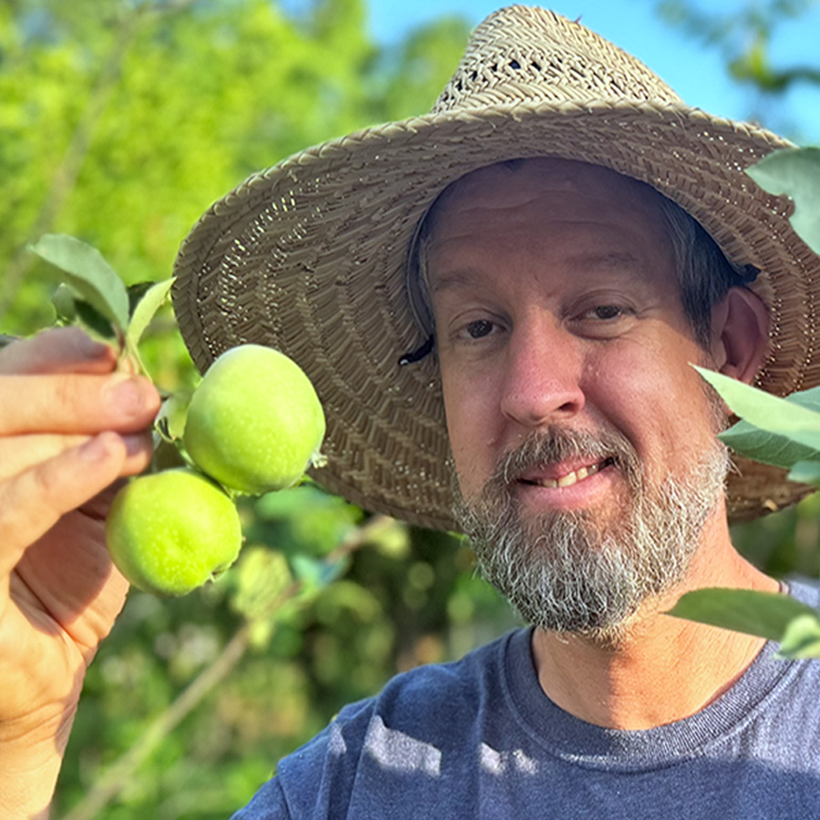 The Mystery Apple: Which is it?